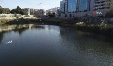 İzmir’in göbeğinde 40 yıllık bir yılan hikayesi: Basmane Çukuru